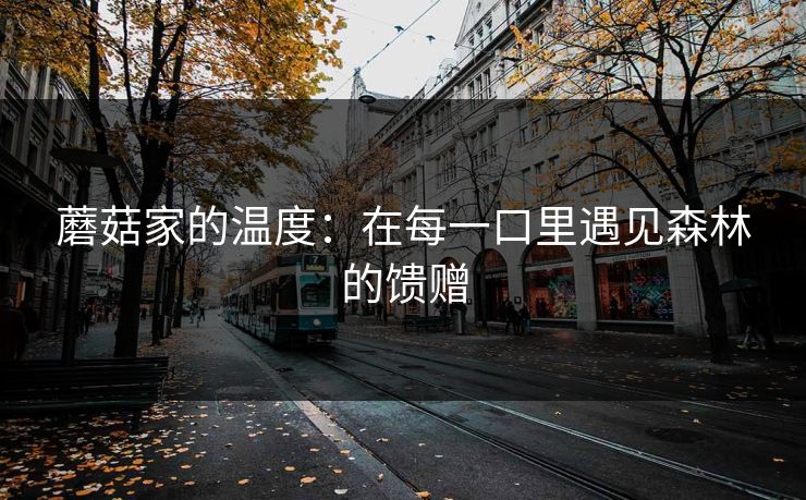 蘑菇家的温度：在每一口里遇见森林的馈赠