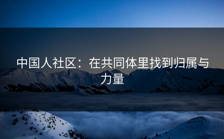 中国人社区：在共同体里找到归属与力量
