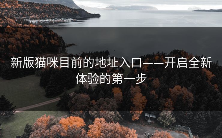 新版猫咪目前的地址入口——开启全新体验的第一步