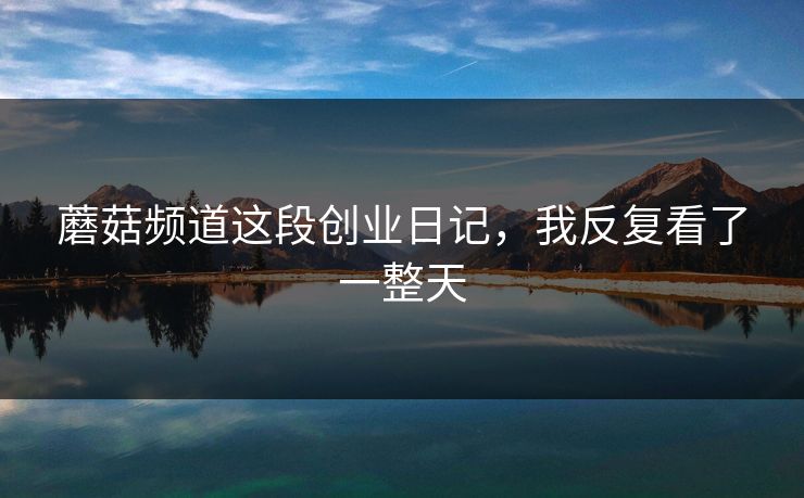 蘑菇频道这段创业日记，我反复看了一整天